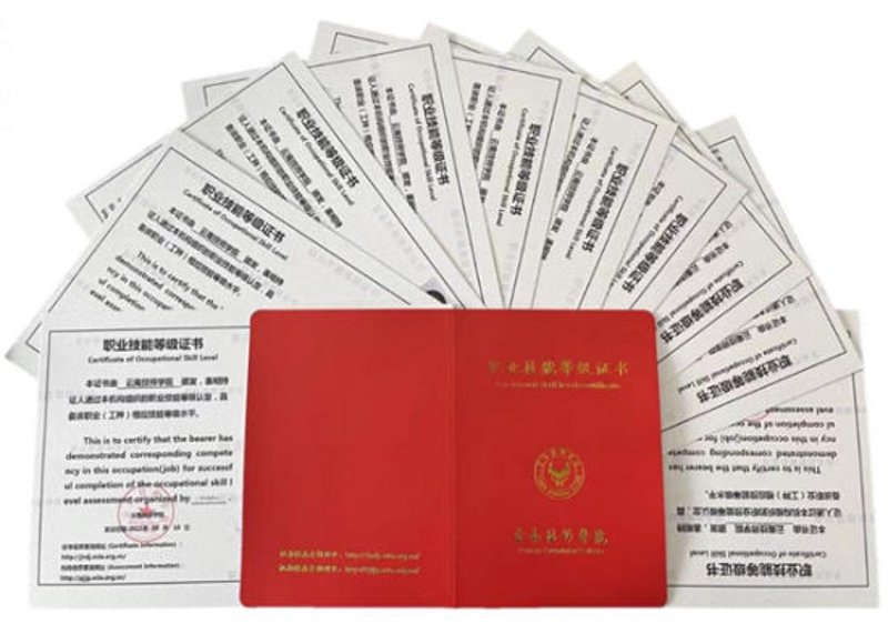 企业团培：打造未来精英的隐形阶梯